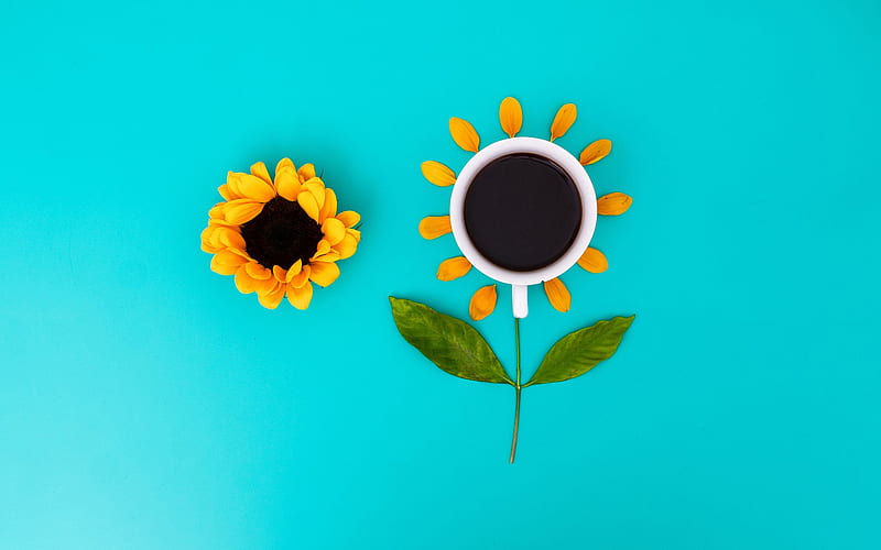 Good Morning, creative sunflowers, minimal, coffee concept, floral art, cup with coffee, Good Morning concepts, HD wallpaper