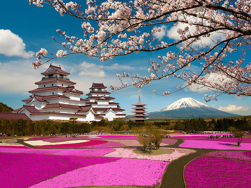 Castles, Castle, japan, Mount Fuji, Park, Sakura, Tsuruga-jō, Volcano, HD wallpaper