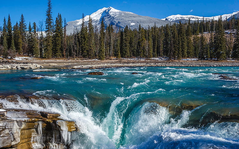 waterfall, mountain river, mountain landscape, forest, Athabasca Falls, Alberta, Jasper National Park, Canada, HD wallpaper