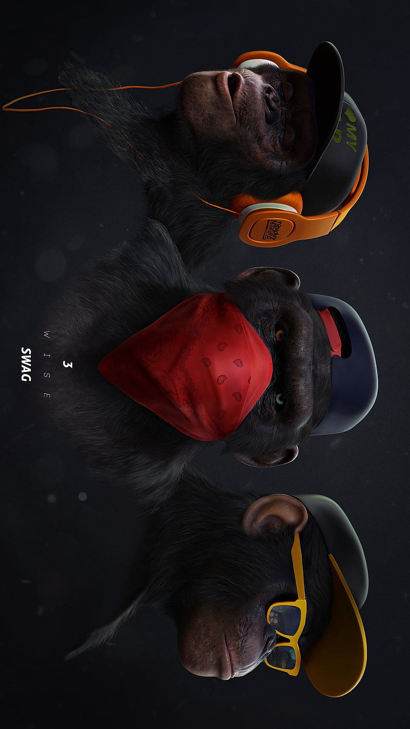 Monkey Swag Wallpapers - Wallpaper Cave