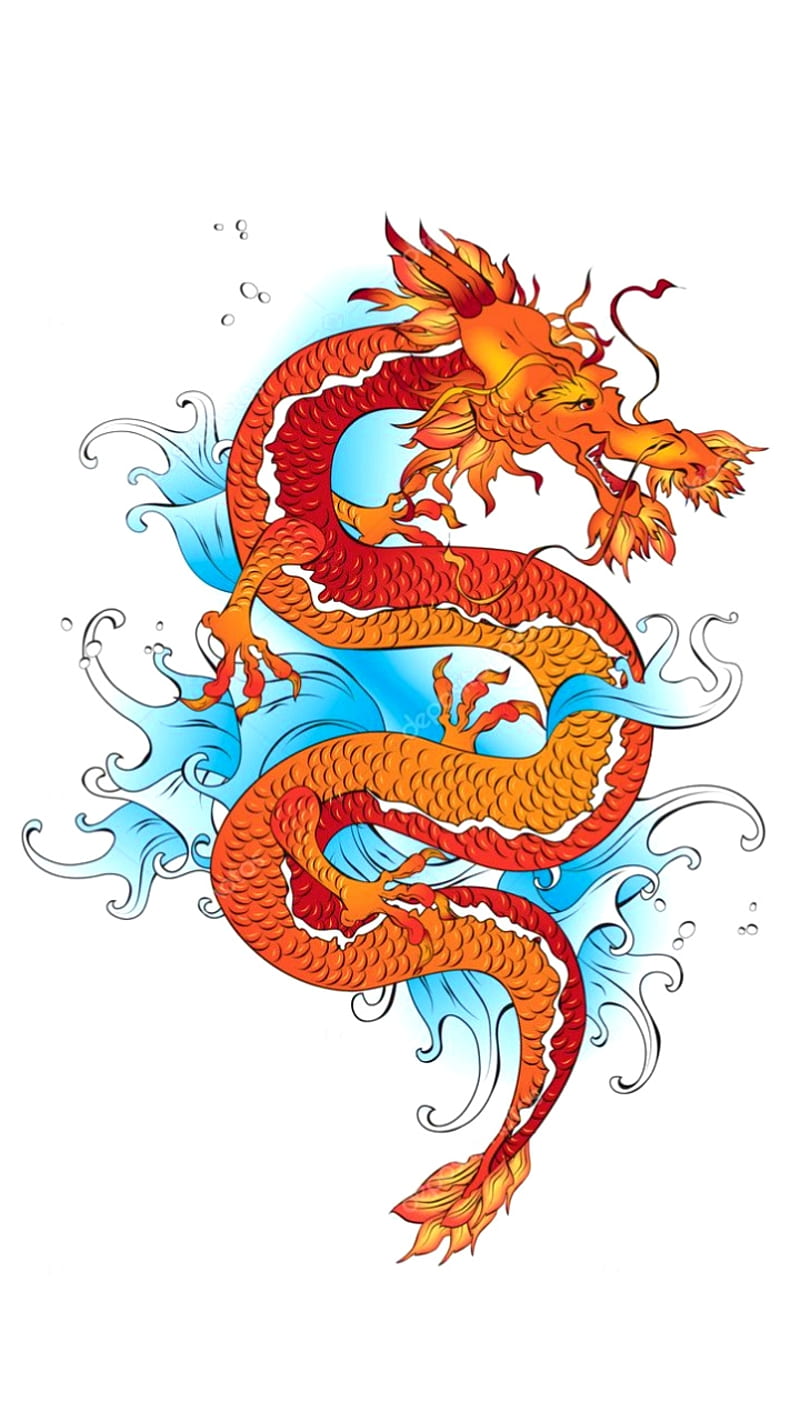 Beautiful Dragon, beauty, blue, dragons, fantasy, fire, monsters, orange, red, HD phone wallpaper