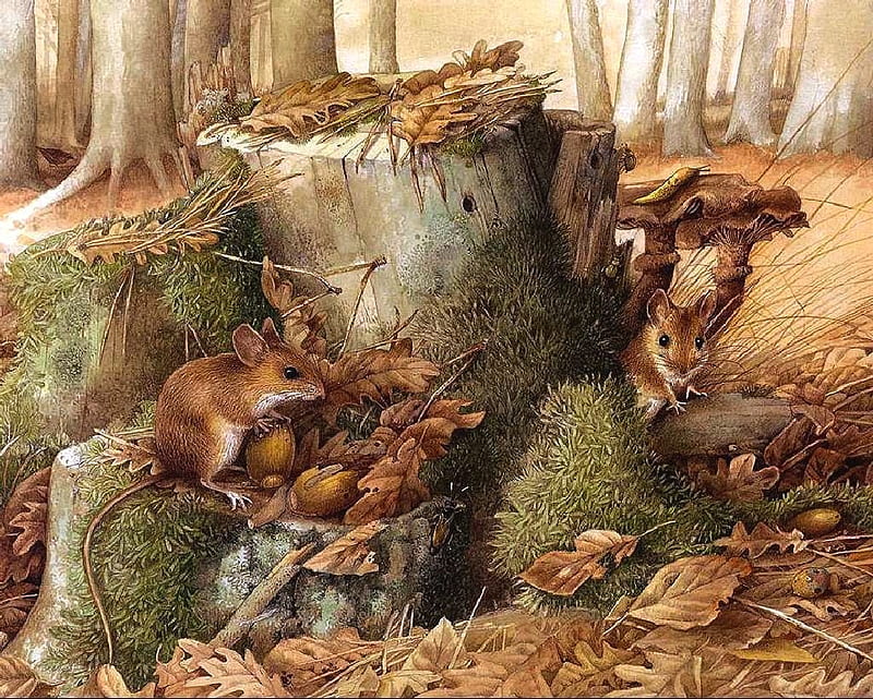 mouse, forest, art, bastin marjolein, sutumn, painting, pictura, HD wallpaper