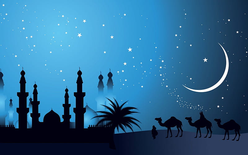 Christmas night, orient, bonito, magic arabica, moon, splendor, camel, 1001 night, blue, night, stars, lovely, colors, palms, peaceful, nature, wishes, landscape, HD wallpaper