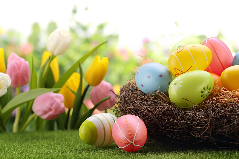 Easter and Spring Time, Easter, nest, eggs, flowers, Spring, tulips, HD wallpaper