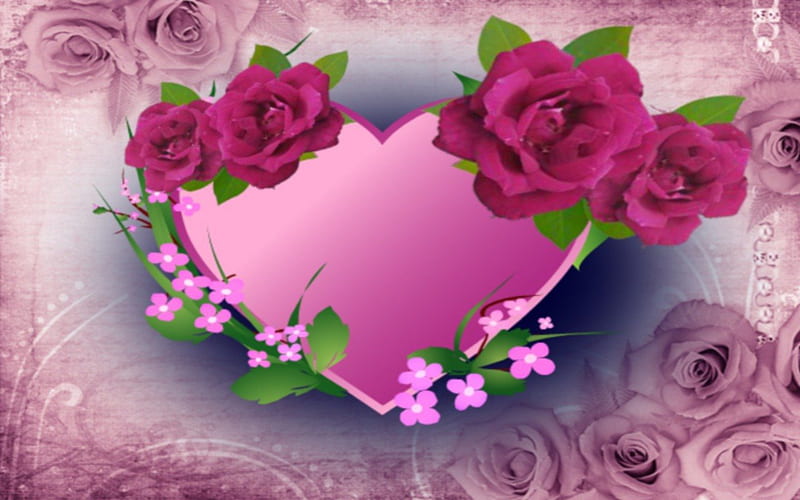 Roses for You, roses from the heart, birtay flowers, hearts and roses, heartfull of roses, HD wallpaper