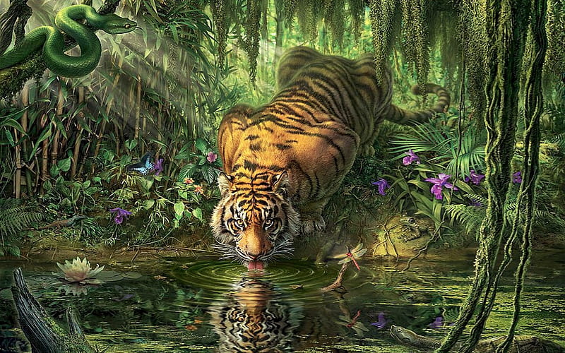 Tiger at The Watering Hole, Reflection, Tiger, drinking, green, jungle, Snake, watering hole, animal, HD wallpaper