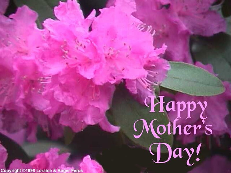mother day, holiday, may, mom, flowers, morther, HD wallpaper