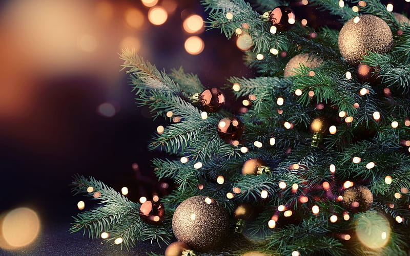 Christmas tree, New Year, glare, Merry christmas, Happy New Year, xmas tree,  HD wallpaper | Peakpx