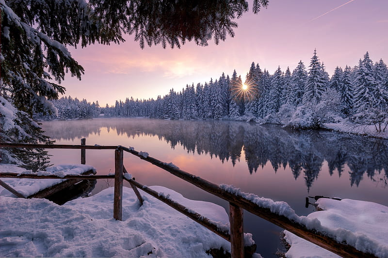 Winter Snow Trees Nature Outdoors, winter, snow, trees, nature, lake, HD wallpaper