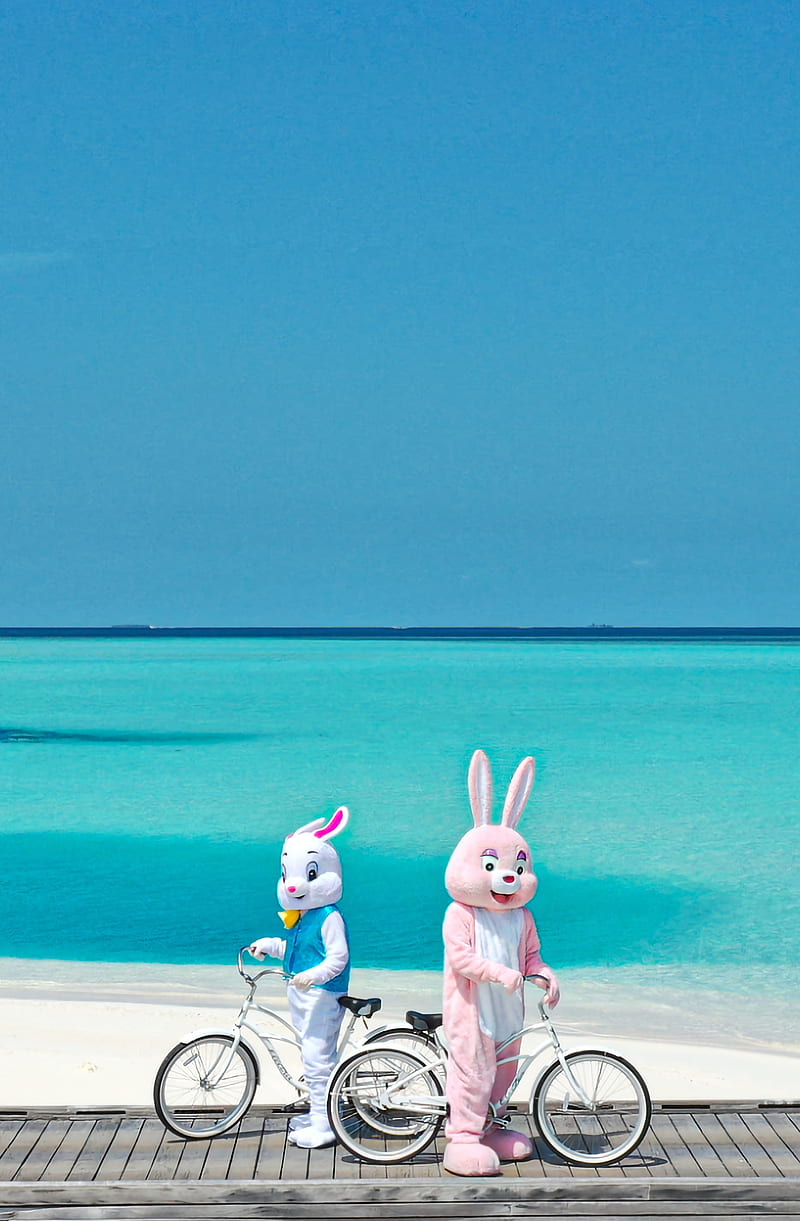 Marvins Date , beach, bicycle, easter egg bunny rabbit pink cute fun funny high quality marvin the easter bunny trending popular new fresh, holiday, maldives, ocean, resort, summer, sunny bts, travel, HD phone wallpaper