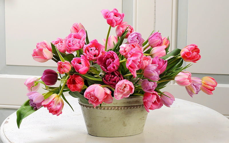 a bouquet of tulips, vase, pink tulips, pink flowers, tulips, HD wallpaper