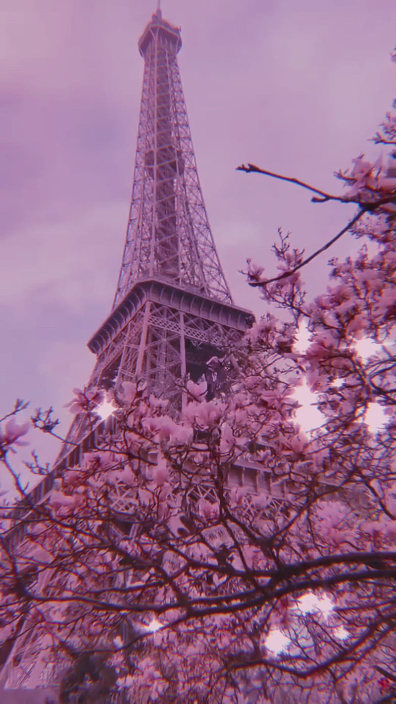 Paris aesthetic. White aesthetic graphy, Paris , Paris, Black and Pink Paris, HD phone wallpaper