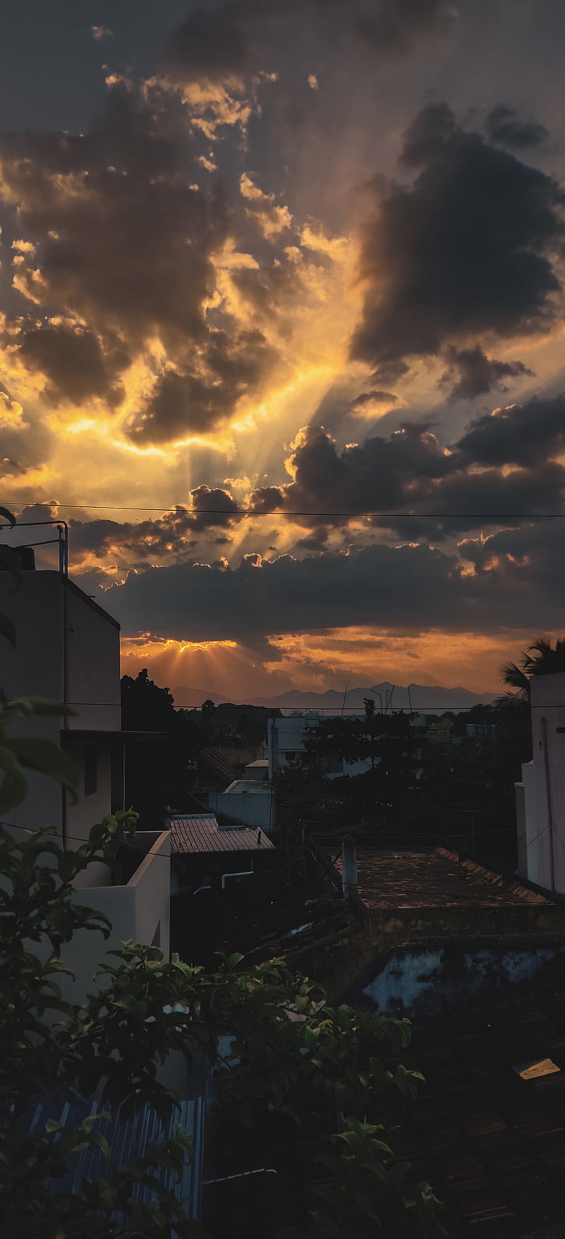 Sunset, birds, clouds, india, sun, tamilnadu, HD phone wallpaper | Peakpx