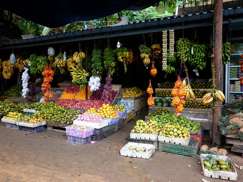Sri Lanka market stall, sri lanka, colourful fruit, market stall, graphy, HD wallpaper