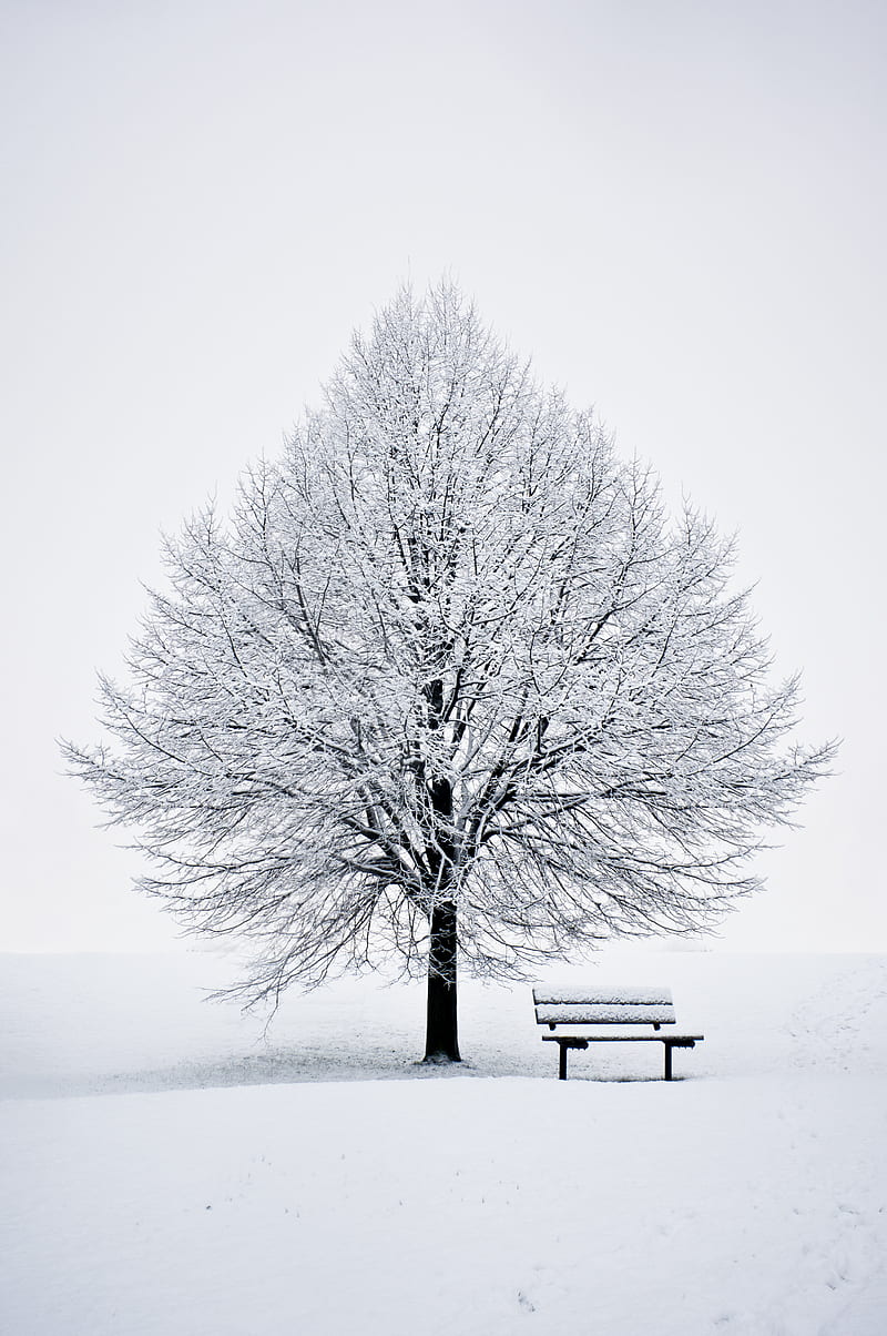 snow, bench, winter, wood, minimalism, HD phone wallpaper