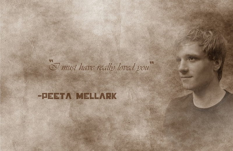I must have really loved you ~ Peeta, the hunger games trilogy, peeta  mellark, HD wallpaper | Peakpx