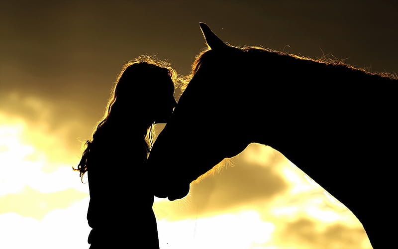 Kiss, cal, cowgirl, girl, black, silhouette, horse, woman, HD wallpaper