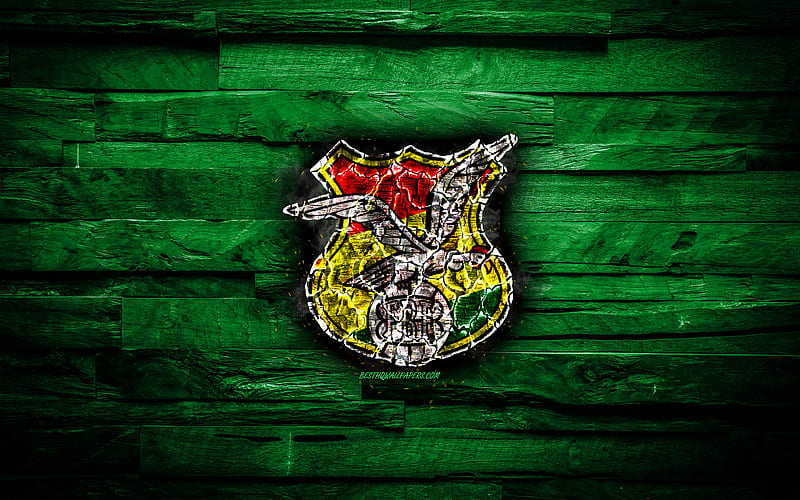 Bolivia, burning logo, Conmebol, red wooden background, grunge, South America National Teams, football, Bolivian soccer team, soccer, Bolivia national football team, HD wallpaper