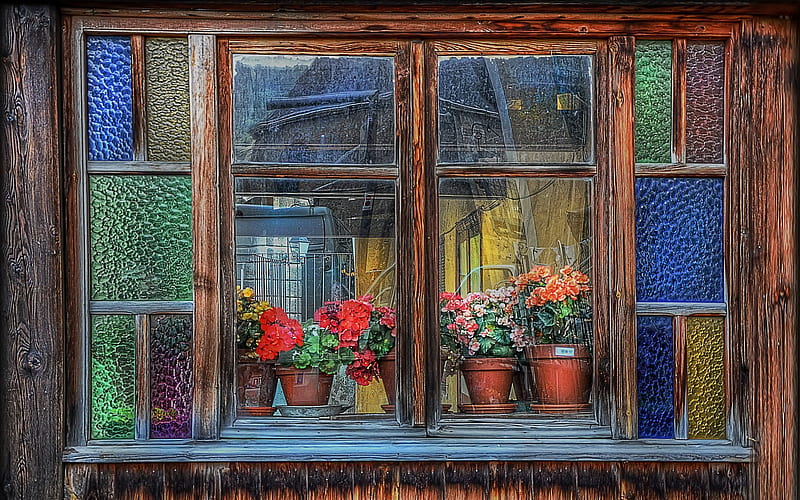 flowers, window, wooden frame, interior, sill, HD wallpaper