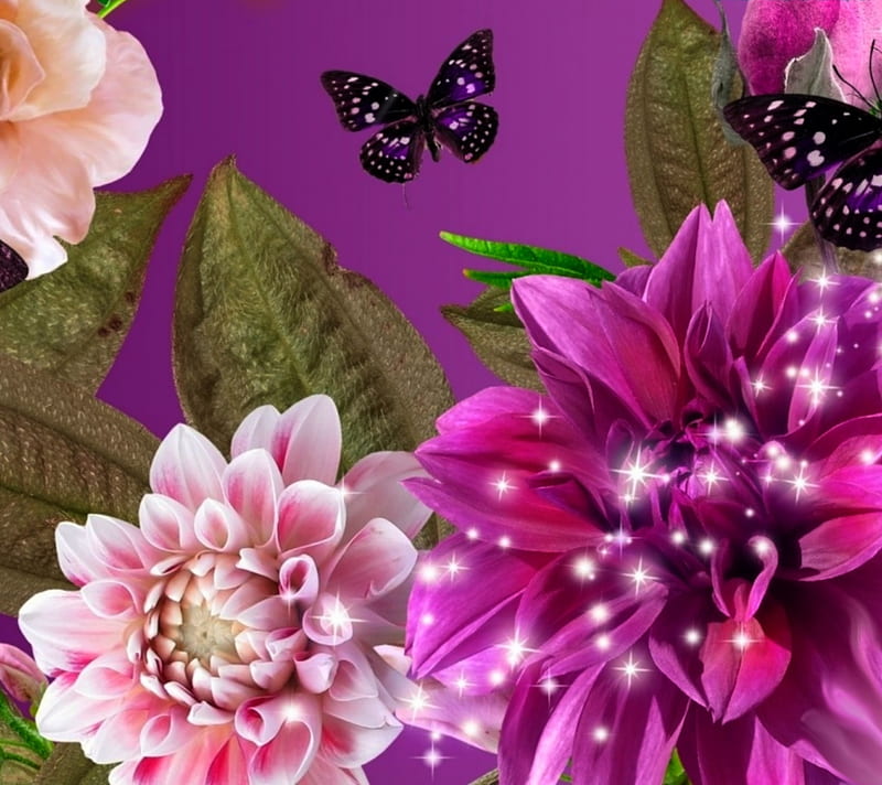 Butterfly, flowers, purple, HD wallpaper | Peakpx