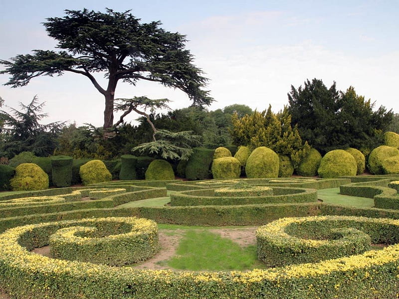 Elvaston-jardines-árboles, jardín, naturaleza, cielo, árboles, Fondo de