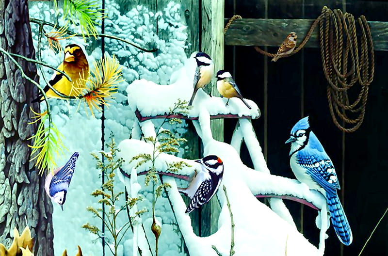 Winter Perch Again FC, Nuthatch, bonito, illustration, artwork, Chickadees, animal, painting, wide screen, Blue Jay, sparrow, art, Grosbeak, winter, bird, snow, Woodpecker, avian, wildlife, HD wallpaper