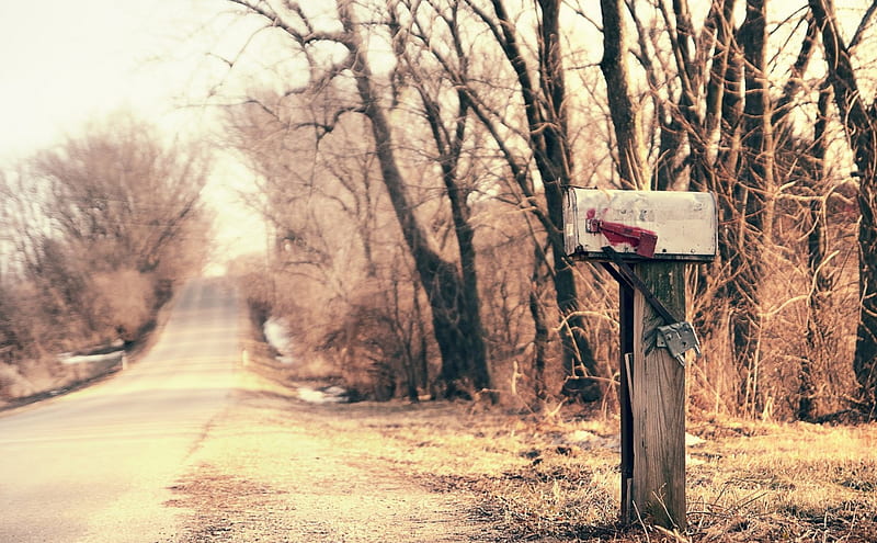 letters from home, post, tree, mailbox, road, HD wallpaper