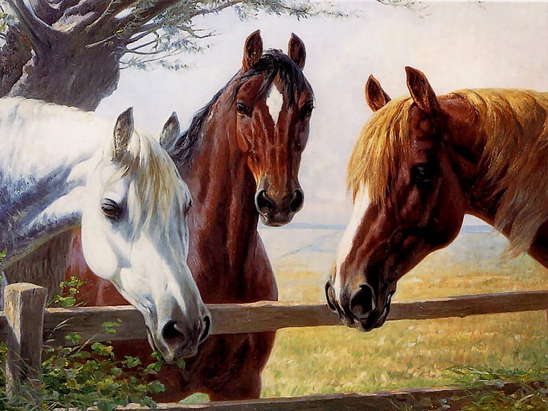 3-horses paint, painting, hoses, nice, animals, HD wallpaper