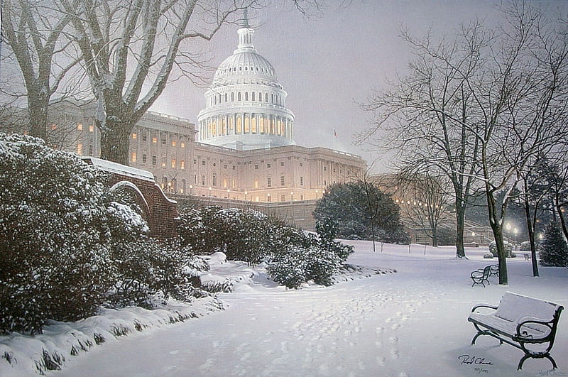 Winter Washington, city, snow, washington, bench, evening, capitol, trees, winter, HD wallpaper