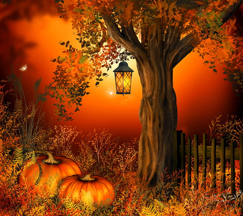 Pumkin, autumn, HD wallpaper