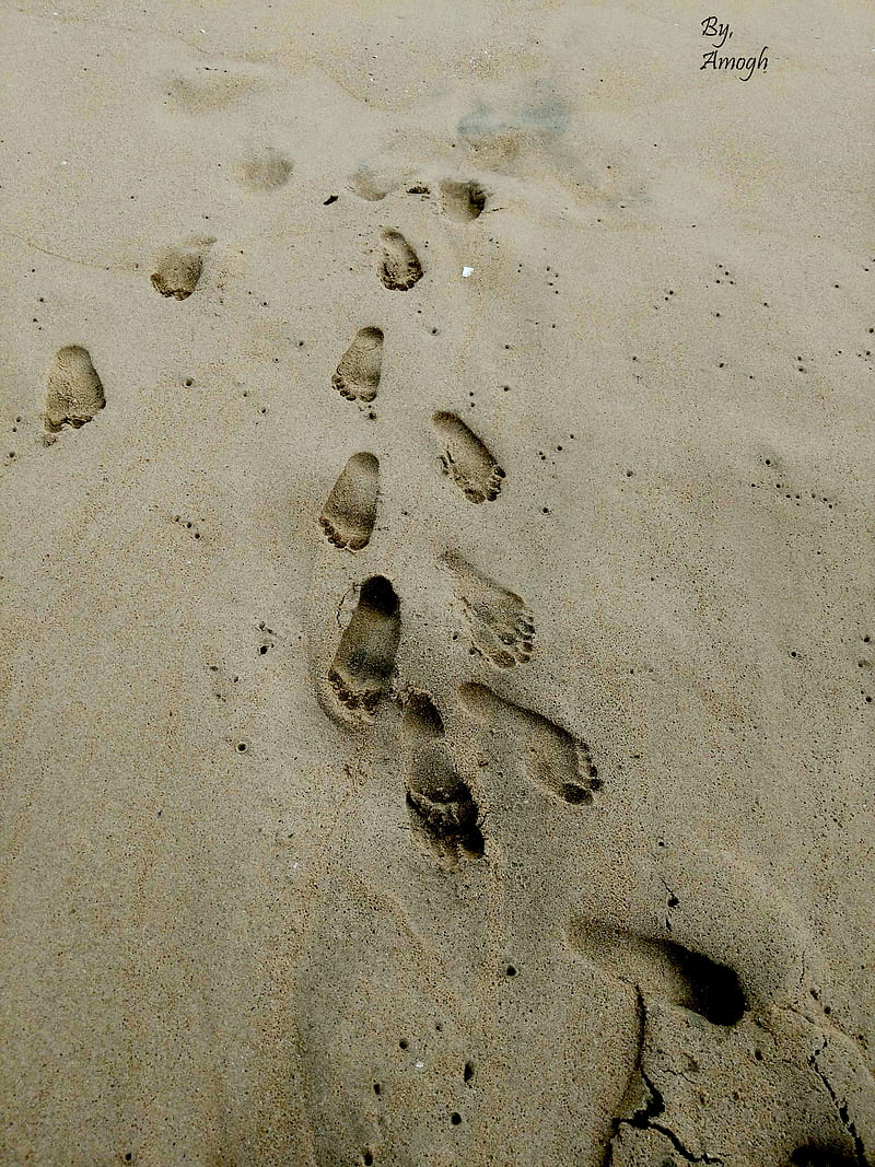 Footsteps, beach, kerala, HD phone wallpaper | Peakpx