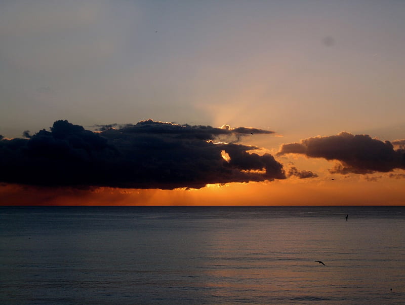 A sunset..., horizon, orange, seascapes, sunset, hq, sky, clouds, sea, seabirds, nature, HD wallpaper