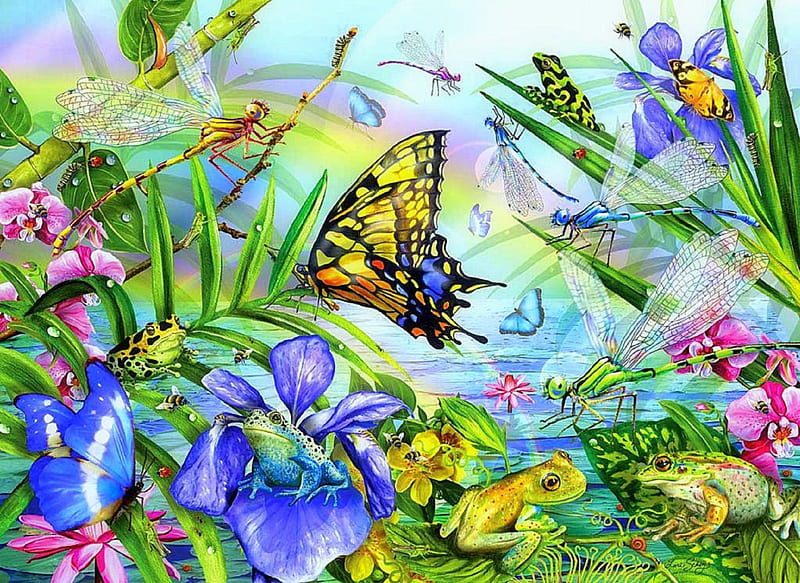 ★Butterfly & Dragonfly Dances★, softness beauty, attractions in dreams, bonito, digital art, paintings, flowers, drawings, butterfly designs, animals, frogs, lovely, colors, love four seasons, creative pre-made, butterflies, pond, dragonflies, weird things people wear, ladybugs, HD wallpaper