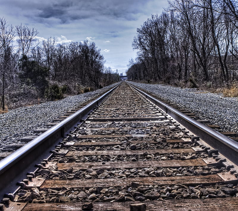 Rails, abstract, city, forest, rail, HD wallpaper
