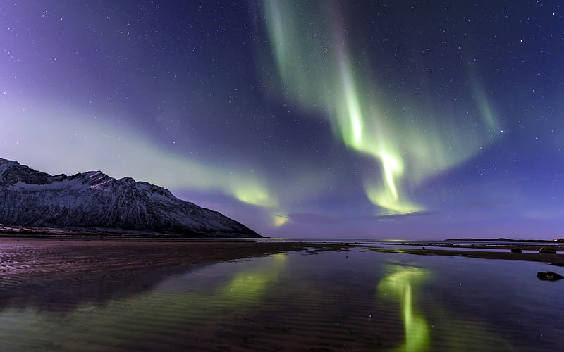 Beautiful Arctic Circle Lake Northern Lights Night view, HD wallpaper