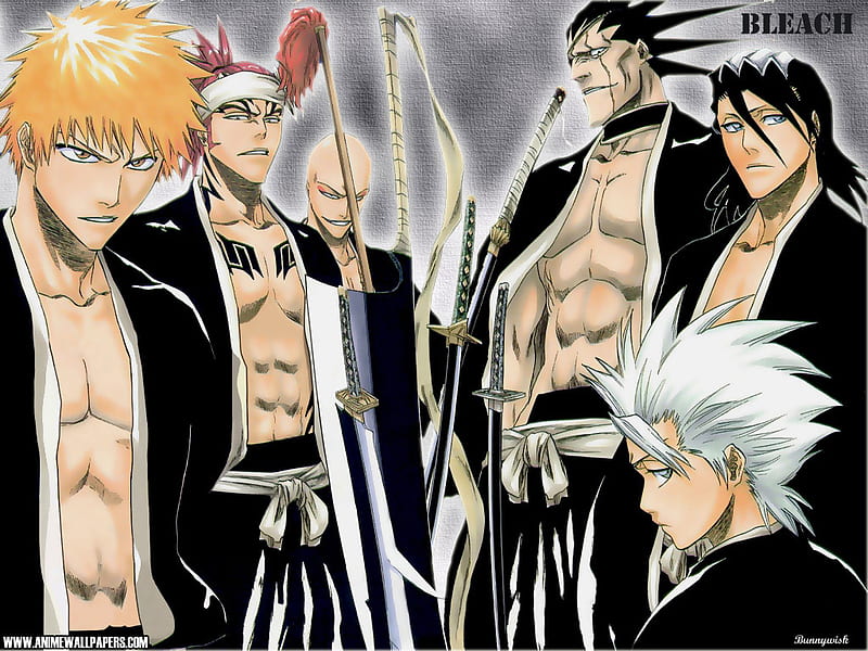 Bleach, tv show, anime, HD wallpaper | Peakpx