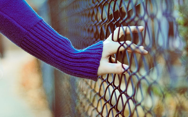 Hand Fence-High Quality, HD wallpaper
