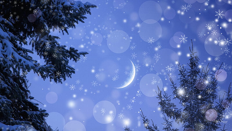 Snowy Winter Night, stars, glow, christmas, firefox persona, trees, sky, winter, bokeh, moon, snow, blue, HD wallpaper