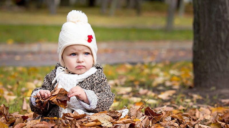 Cute Baby Girl Is Sitting On Dry Leaves Wearing Woolen Knitted Cap And Muffler In Blur Green Background Cute, HD wallpaper