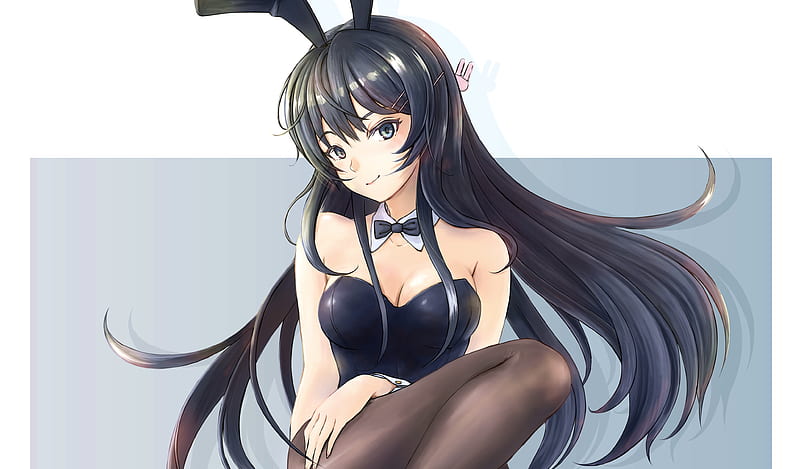 Anime Girl Bunny Suit
