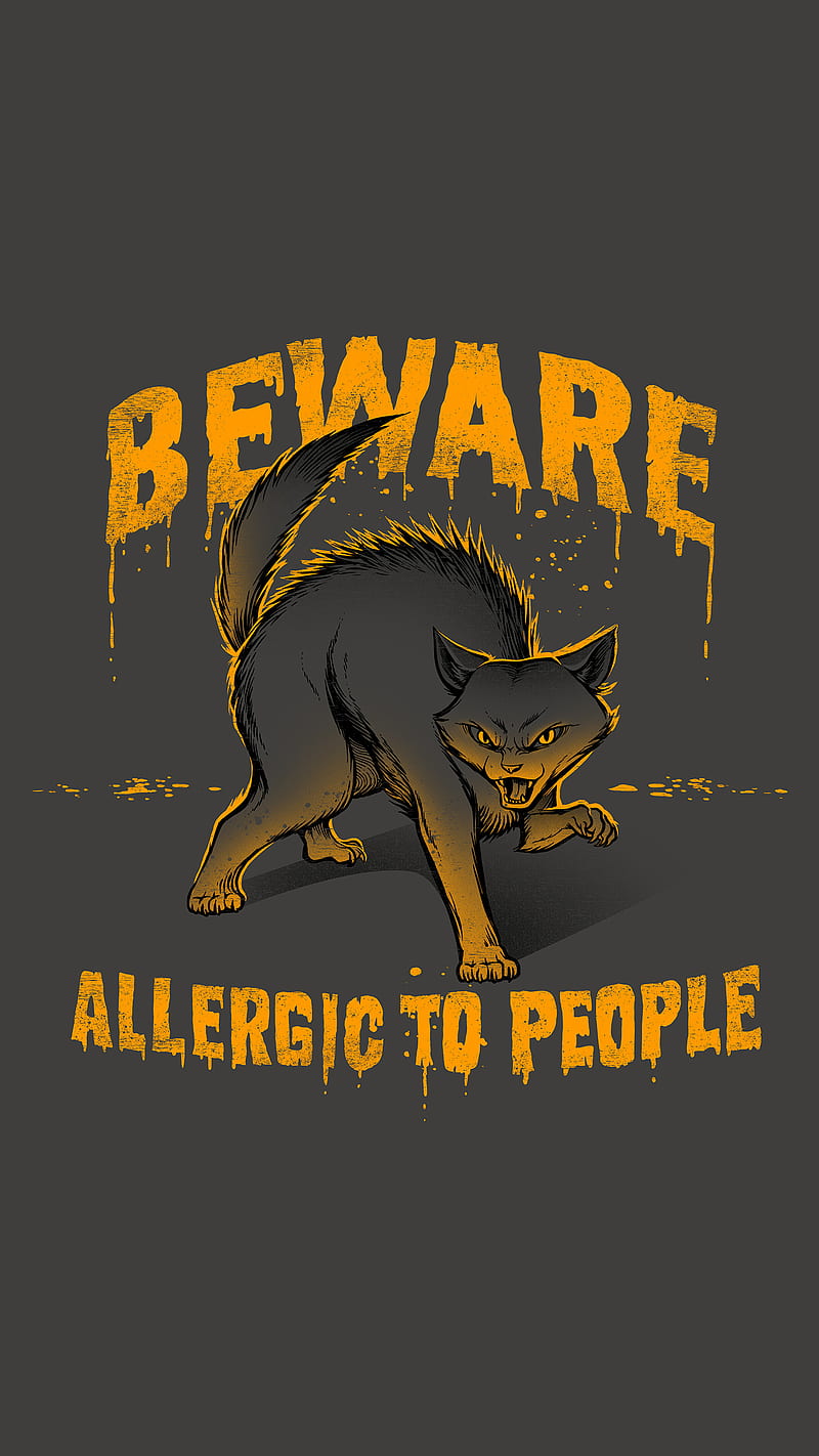 Beware! Allergic, animals, antisocial, beware, cat, kitten, kitty, people, HD phone wallpaper