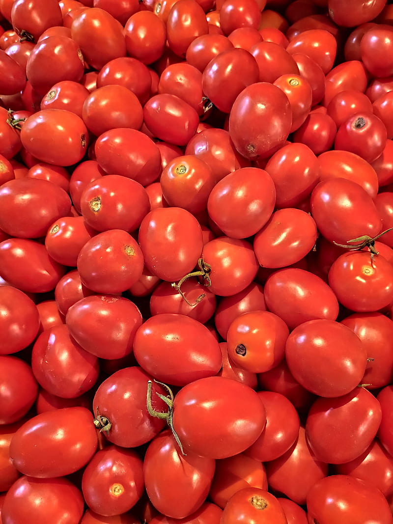 Tomatoes, colours, food, happy, red, vegetables, HD phone wallpaper