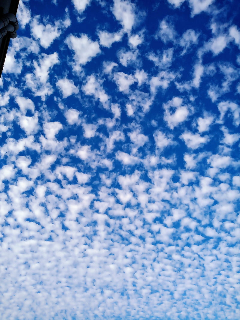 Cloud, background, blue, screen saver, sky, white, HD phone wallpaper ...