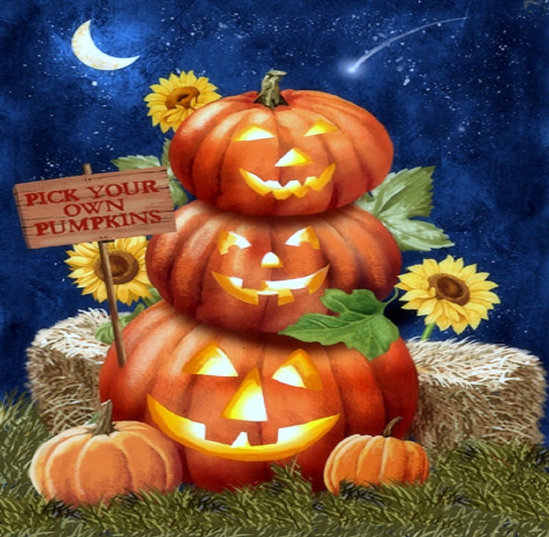 ★Pick Your Own★, pretty, fall season, autumn, holidays, lovely, halloween, colors, love four seasons, fun, creative pre-made, harvest time, cute, paintings, pumpkins, HD wallpaper