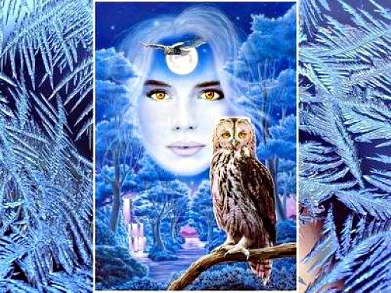 Owl Waterfall, bonito, Abstract, Collages, Woman, Owl, Prety, Night, HD wallpaper