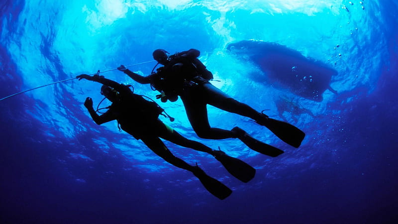 Scuba Diving, HD wallpaper