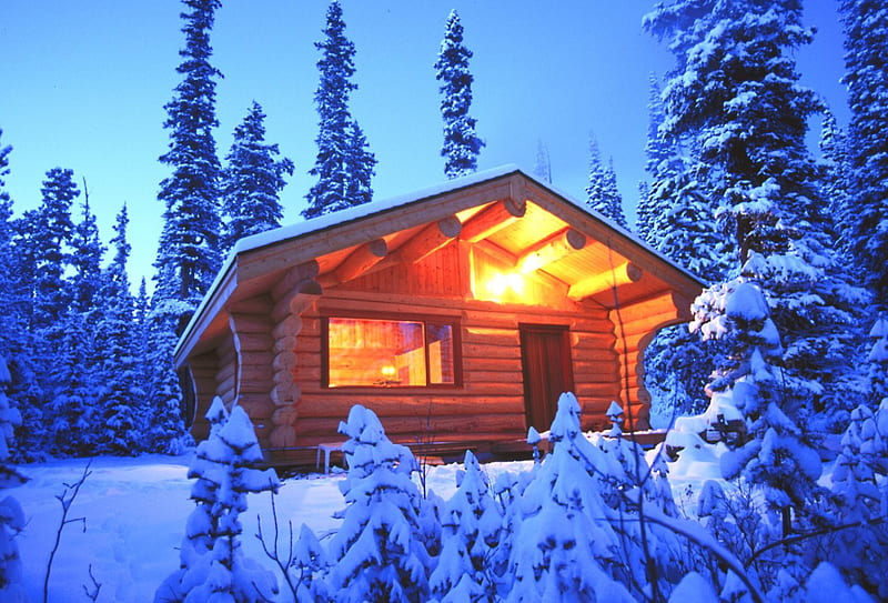 Cabin in winter, pretty, house, cottage, cabin, bonito, lights, cold, mountain, nice, evening, frost, blue, rest, forest, lovely, holiday, christmas, new year, sky, trees, winter, snow, slope, nature, frozen, wooden, HD wallpaper