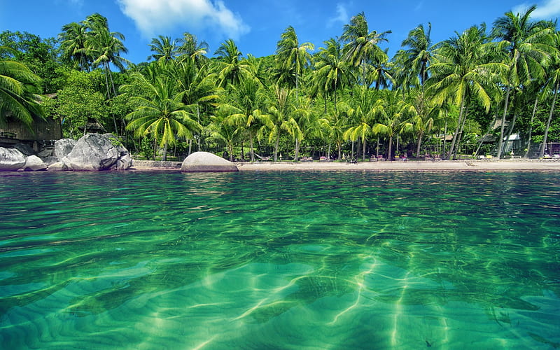 tropical island, summer, blue lagoon, palm trees, summer travel, Maldives, HD wallpaper