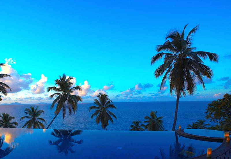 Blue sea and palms and warm night and........, beauiful, romantic, colors, sea, palms, HD wallpaper