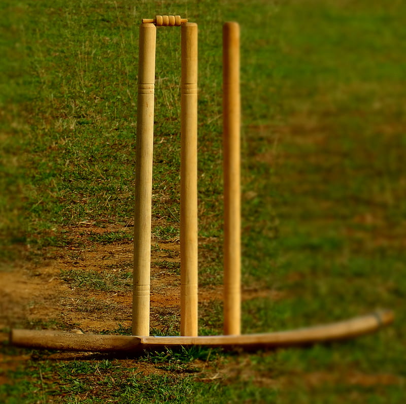 Stumps , bat, cricket, cricketfan srilankabail, stumps, HD wallpaper